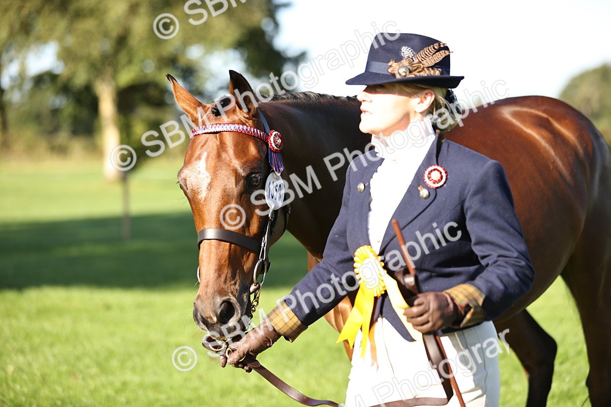 SBM_15792 - S1 - TSR in Hand Horse & Pony Showing
