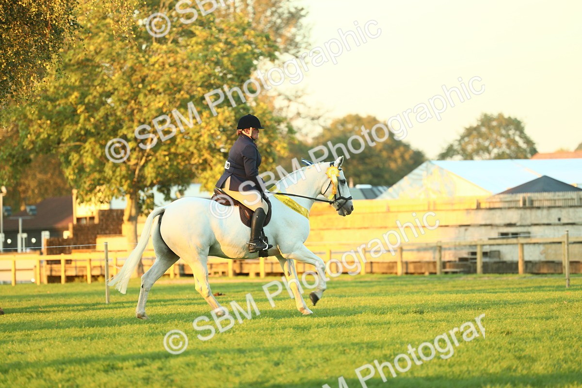 SBM_56723 - Fun & Versatile Supreme Championship
