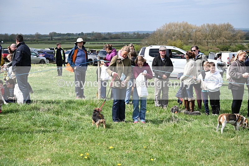 WJ6_8383 - Class 4 Prettiest Bitch