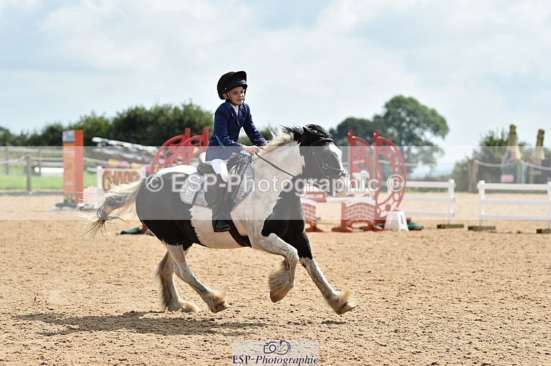 230902A-130604-01312 - Cls 3A Pony Medium 80cm