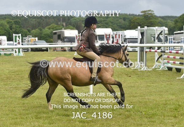 JAC_4186 - 30CM WORKING HUNTER