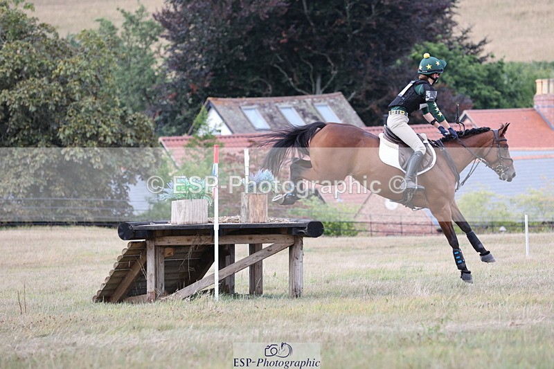 250802A-175859-08647 - H-353-Nancy.Wilson.Connell-BLUESTONE.BUTTERFLY