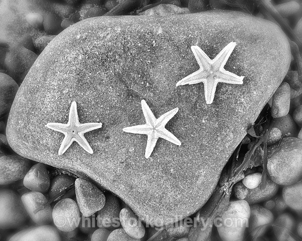 After the Storm - Nairn, Scottish Highlands -Zero Miles ( Black and White)