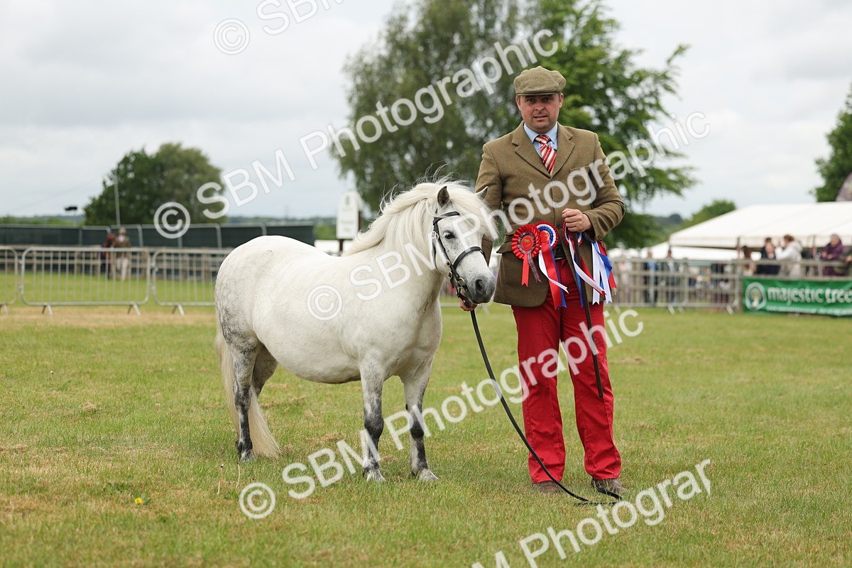 SBM_05044 - Class 50-57 - M&M Welsh Pony In Hand