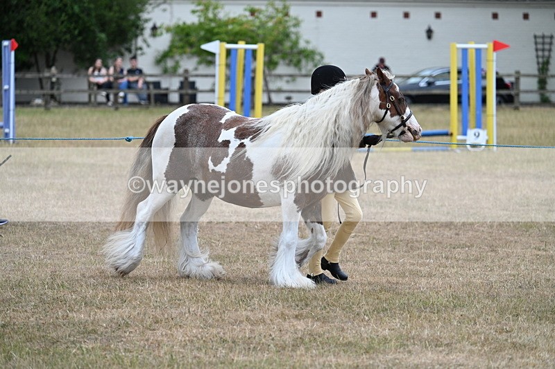 WJ7_8255 - Class 4 Prettiest Mare up to 14.2hh