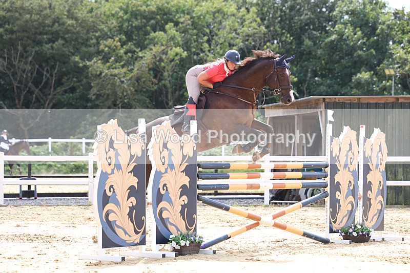 3E7A4310 - Class 8: Senior Foxhunter/1.20 open