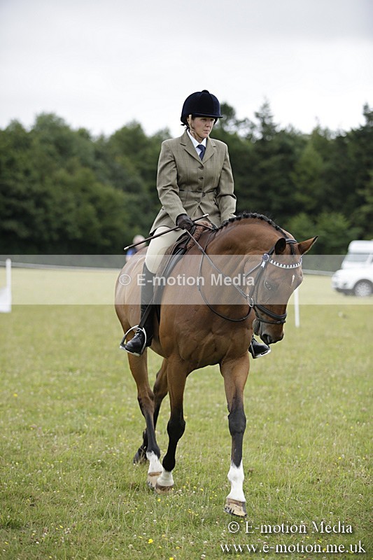 BVR160717-470 - Ring 1 BVRC Show 16/07/17