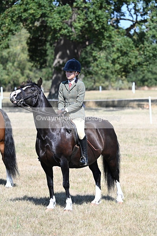 WJ7_4122 - Class 9 Mountain & Moorland Ridden
