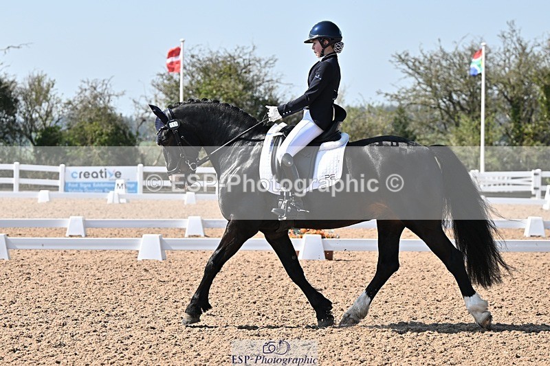 250404-133014-06389 - 111-Ever.Sinfield.Day-Machno.Excalibur