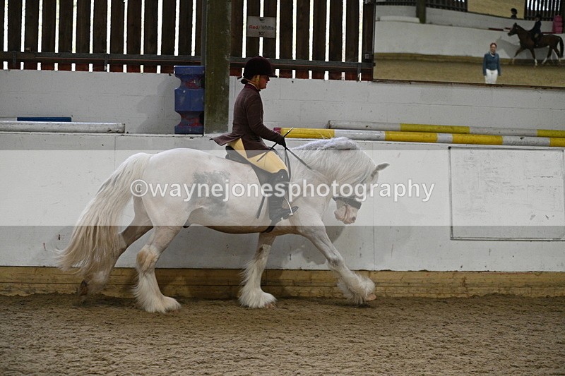 WJ7_3813 - Class 17 Ridden Cob
