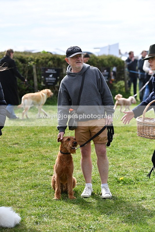 WJ5_9848 - Class 3 Most Handsome Dog