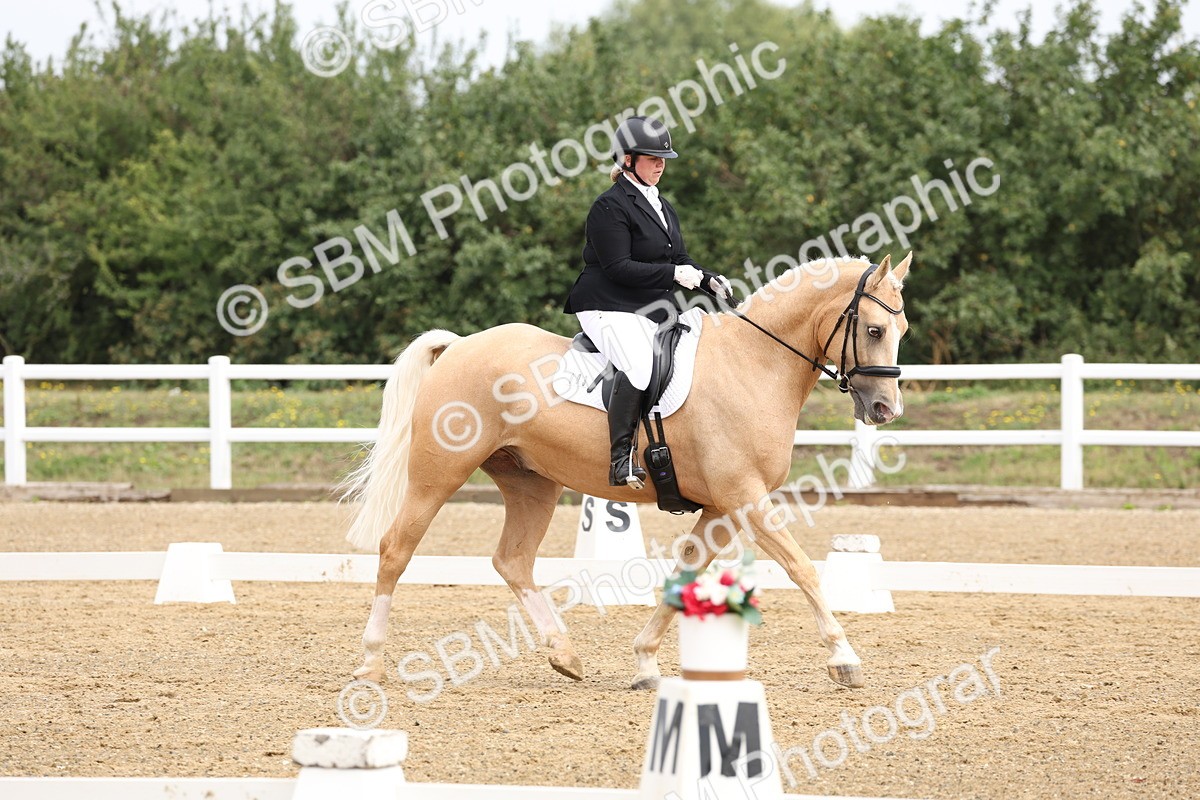 SBM_005815 - Class 6 - Novice 6 - 10.26-11.29