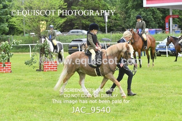 JAC_9540 - WORKERS CHAMPIONSHIP