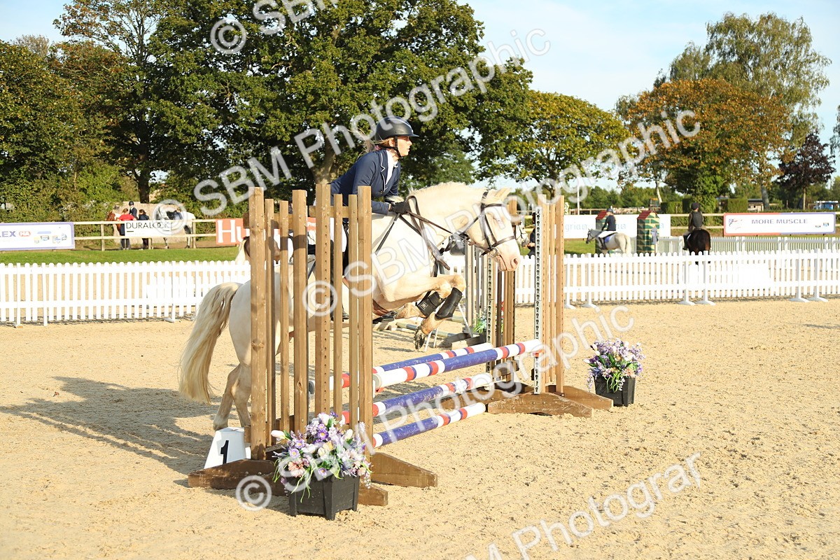 SBM_53636 - J8 - Junior Pony 65cm Championship
