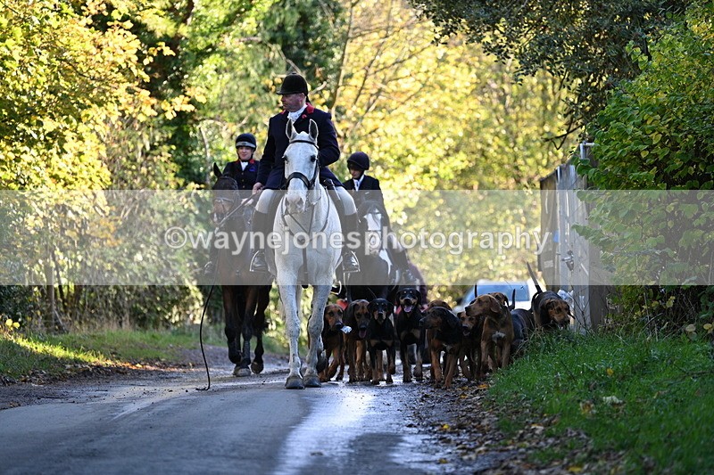 WJ7_8609 - Walk Home