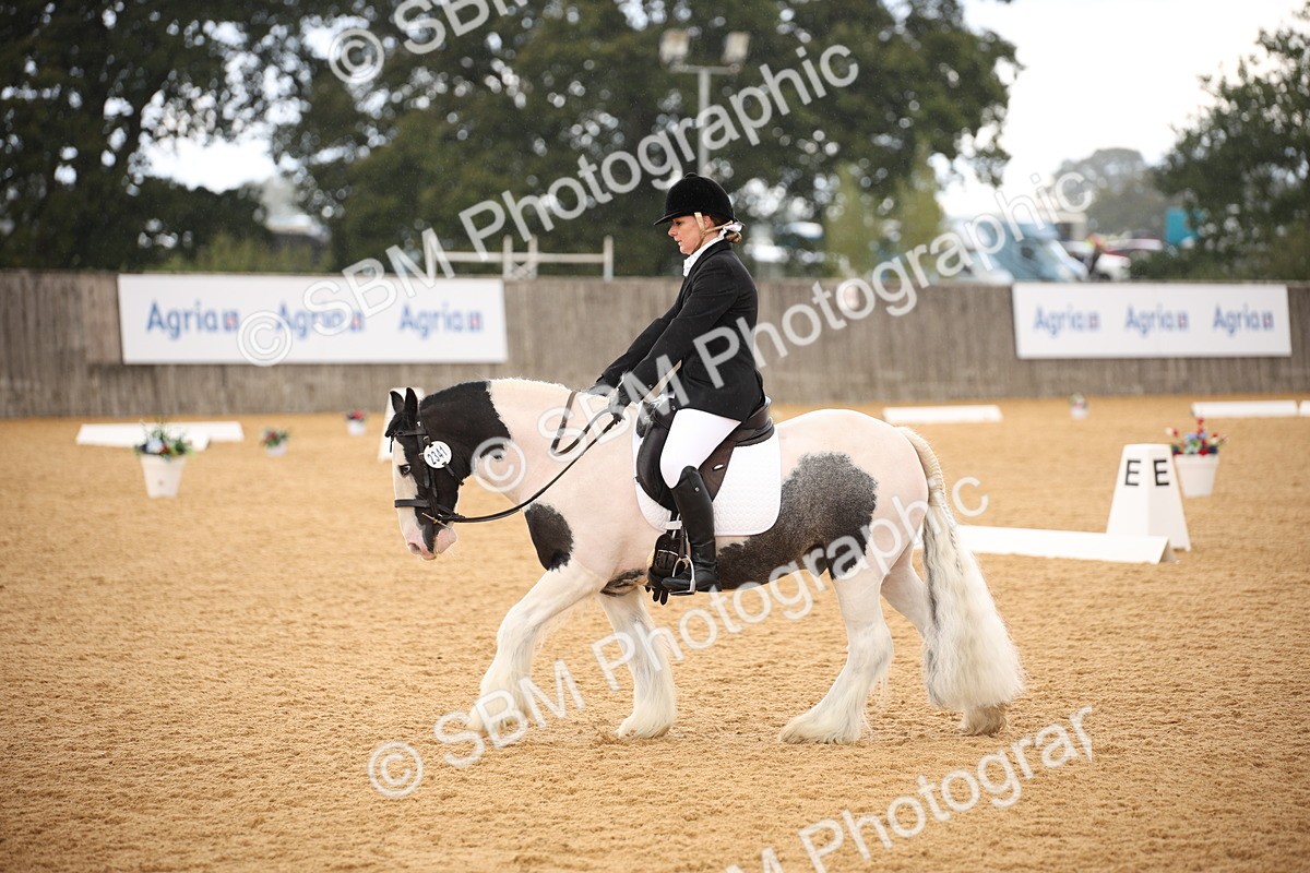 SBM_08942 - D8 Small Tour Championship Prelim 7