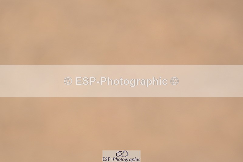 240323A-143130-02230 - UnA Prelim 14