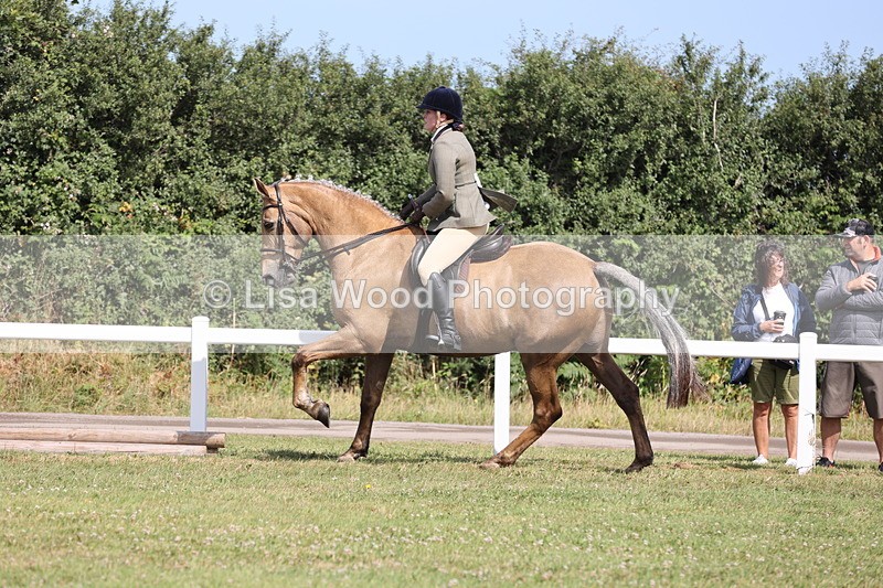 JPP_1240 - Class 17: Cornish Combination Open