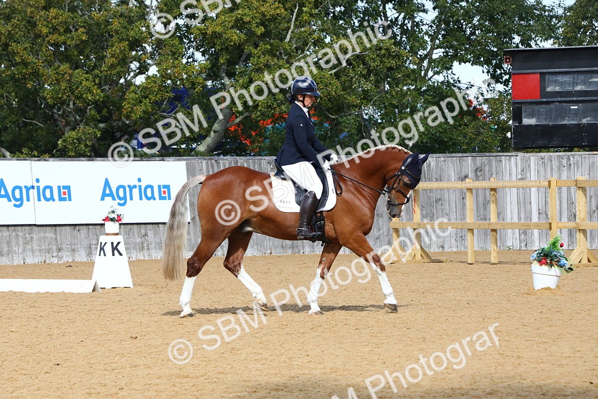 SBM_18289 - D31 - Grand Tour PYO Open .