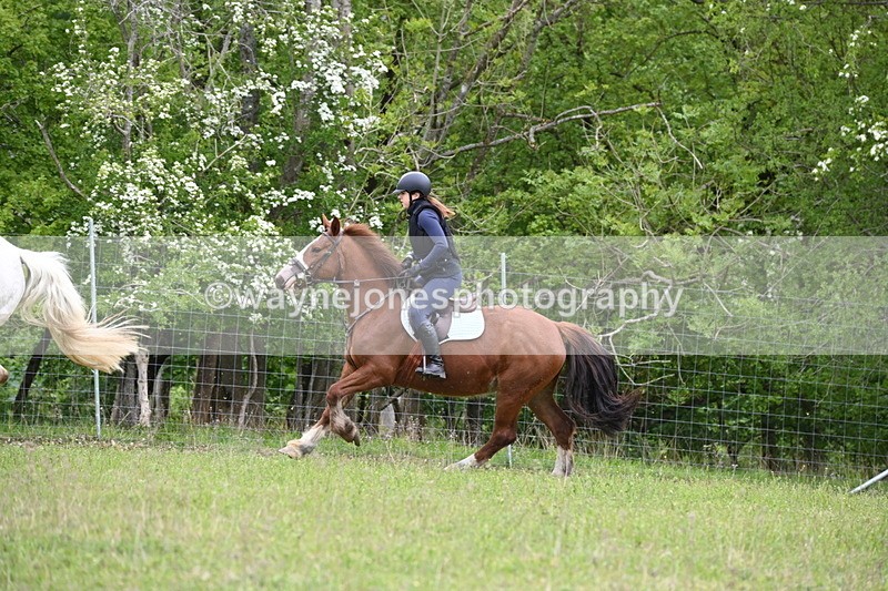 WJ6_1575 - Group 4 A&B Cameras