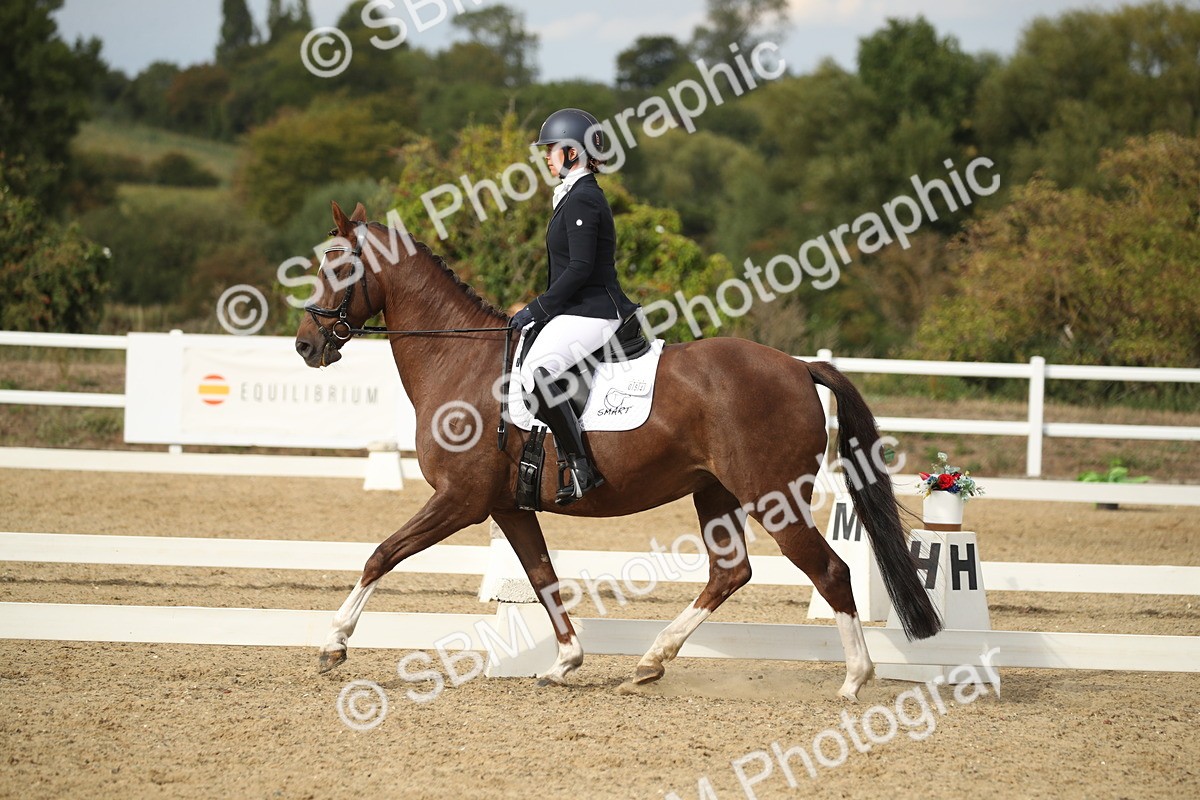 SBM_003488 - Class 6 - Elementary 5 - 16.10-16.43