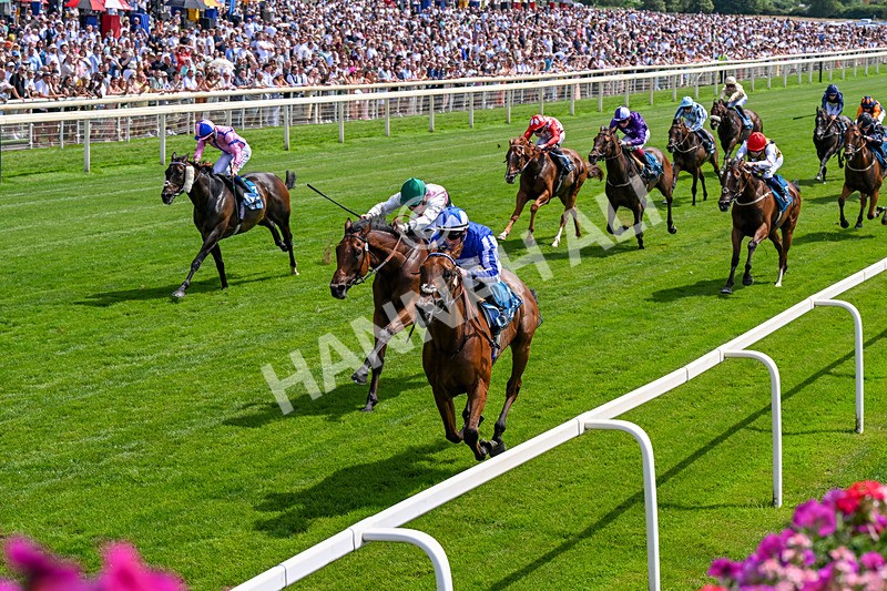 110726-Race 2-The Lost King-0140 - Race 2 14.39pm John Smith's Racing Handicap