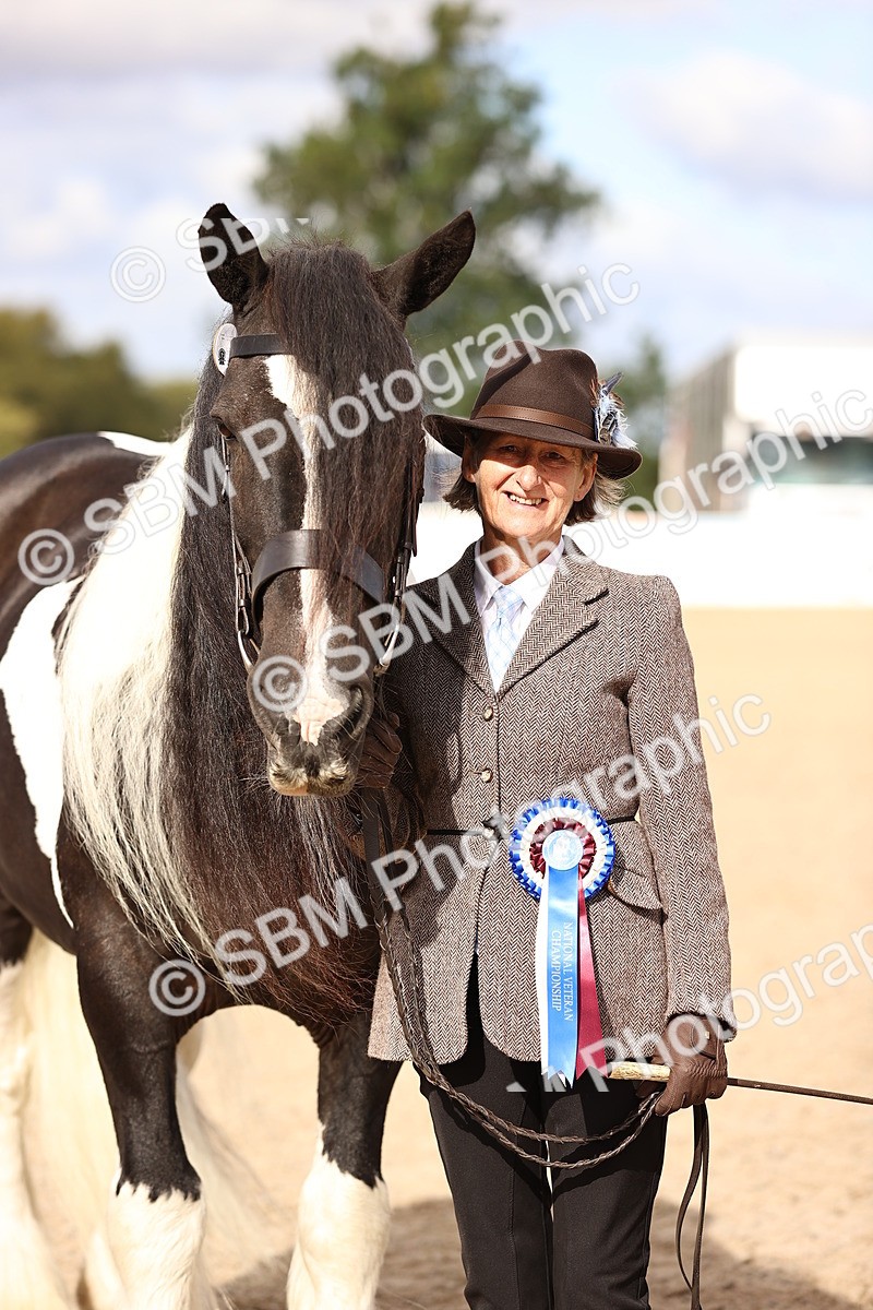 SBM_09328 - Class 404 - IH Traditional - Native Cob