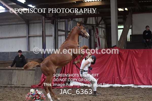 JAC_6363 - 19 Luca