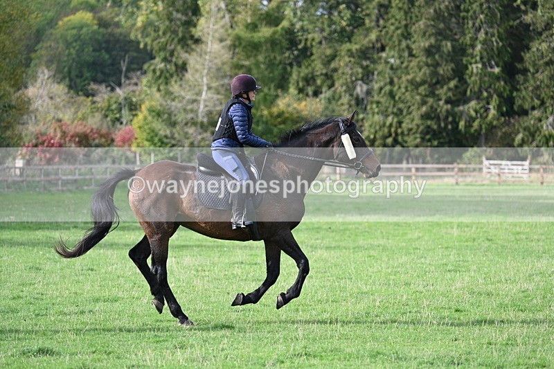 WJ7_1112 - Time 14:27 to 15:11