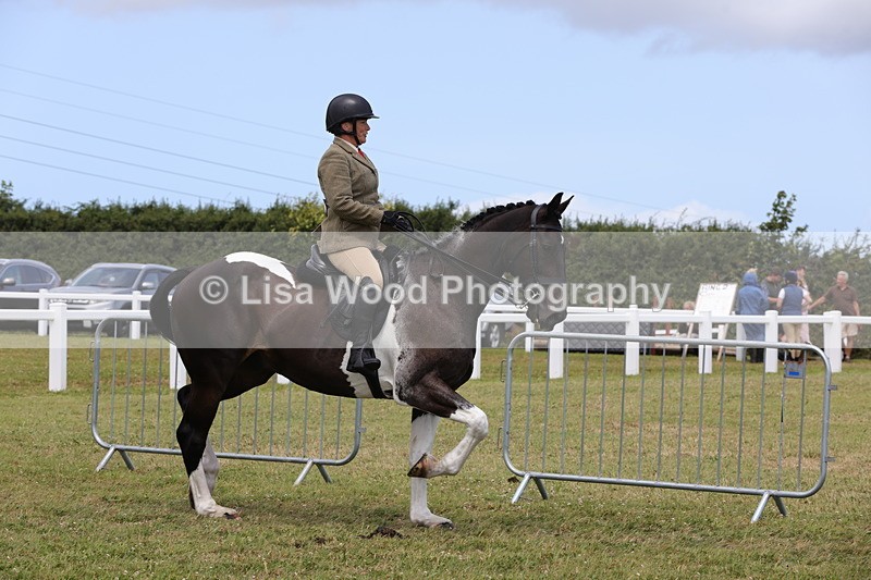 1X9A4357 - Class 34: Veteran Ridden