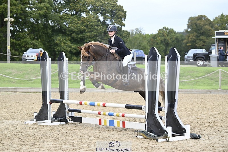 251005A-130224-04016 - Cls 08 Mini 70-75cm