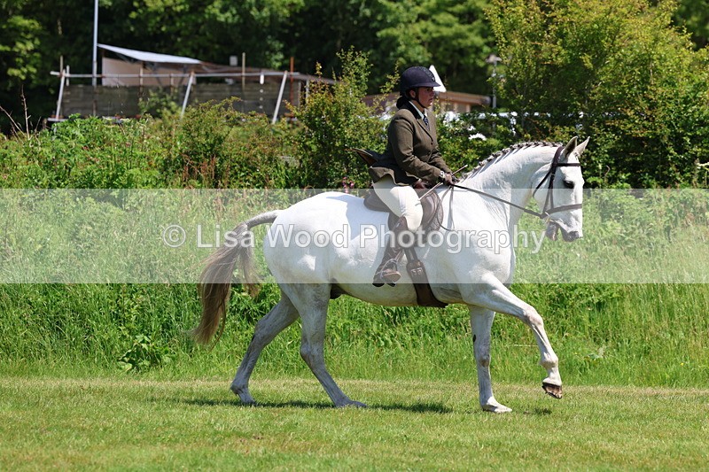 3E7A8060 - Working Hunter Championship