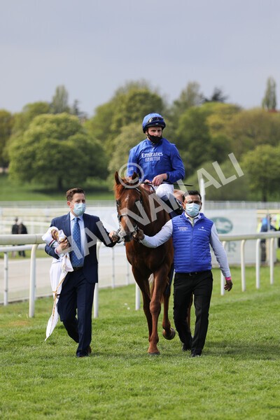 yr13052021r4-49 - Race 4 3.10pm Al Basti Equiworld Dubai Dante Stakes