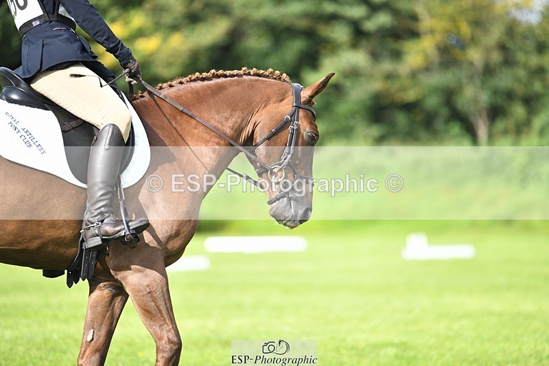 230826-094233-15202 - Sections C & D 9 to 10am