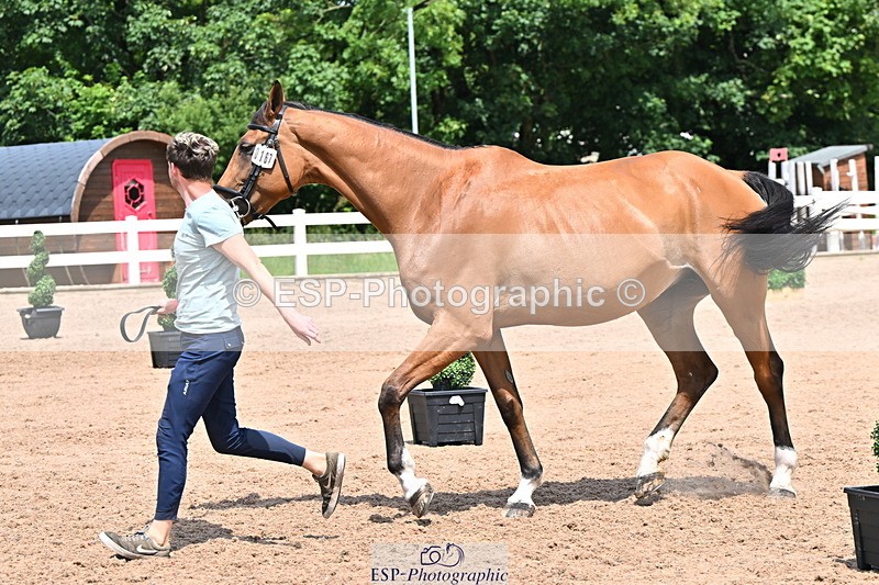 240718A-105319-01838 - Trot Up 1pm to 2pm