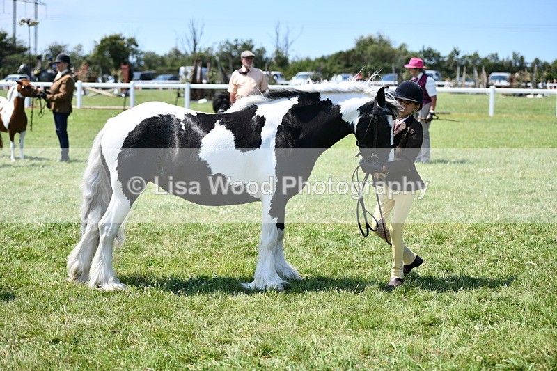 DSC_7681 - Class 64: Coloured Pony 4yrs & over