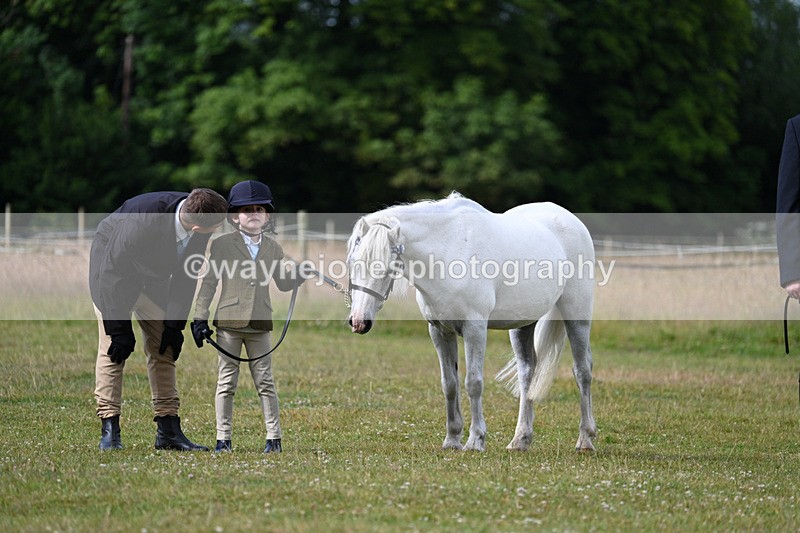 WJ7_4546 - Class 1 Lead Rein Pony