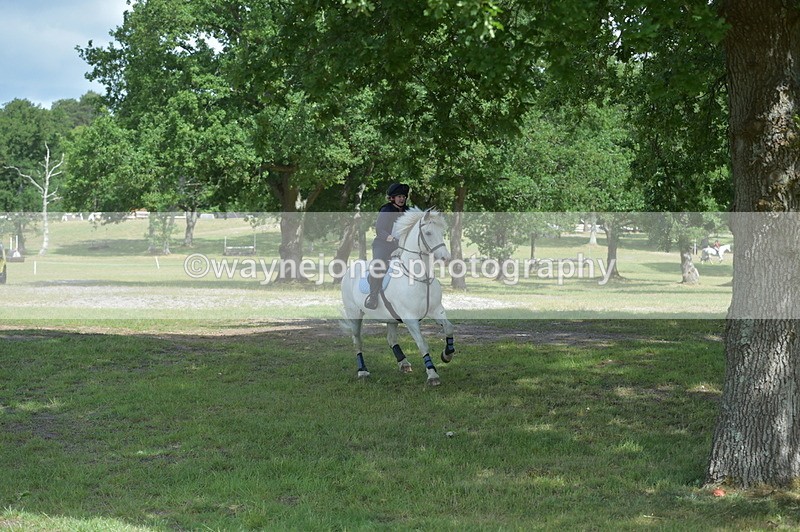 NGP_7219 - Time 11:10 to 11:18