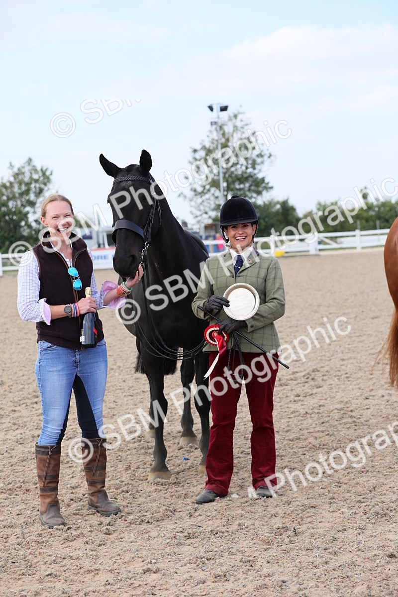 SBM_15844 - Class 312 IH Competition Horse/Pony