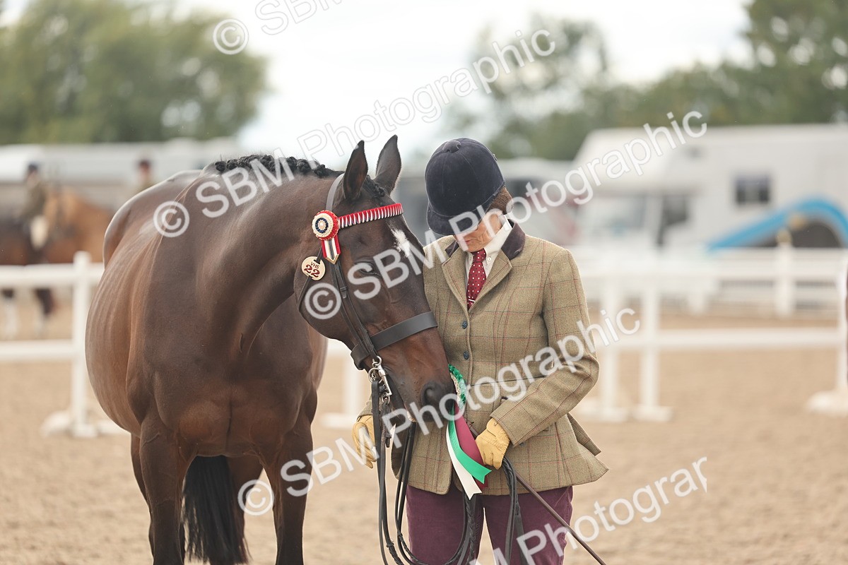 SBM_17158 - Class 313 - IH Retired Racehorse