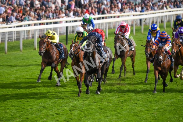 250823-Race 6-Battle Cry-1024 - Race 6 4.45pm British EBF 40th Anniversary Convivial Maiden Stakes