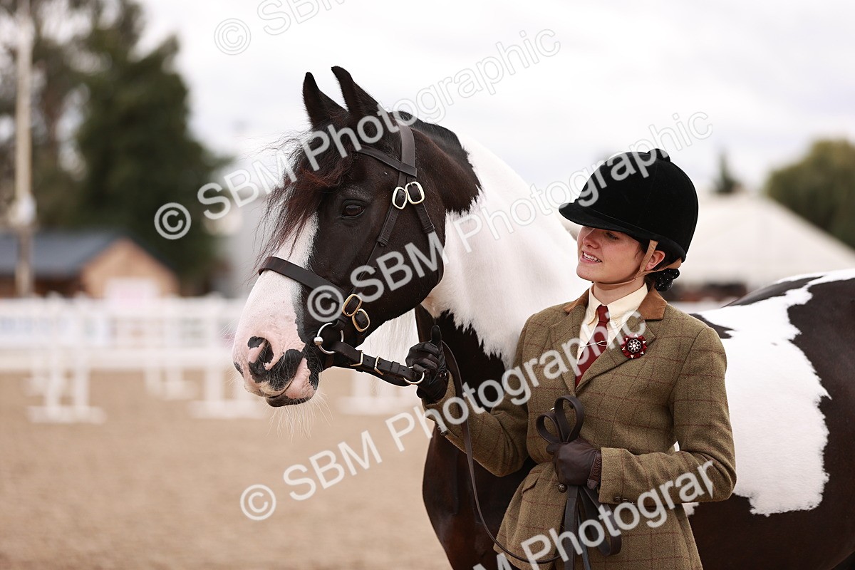 SBM_18500 - Class 420 - Ridden M&M