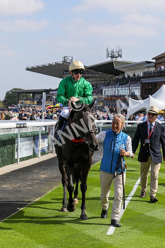 310824-Race 1-Quietness-1009 - Race 1