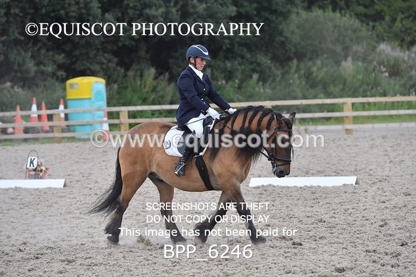 BPP_6246 - ELEMENTARY TEST 4 LONG ARENA