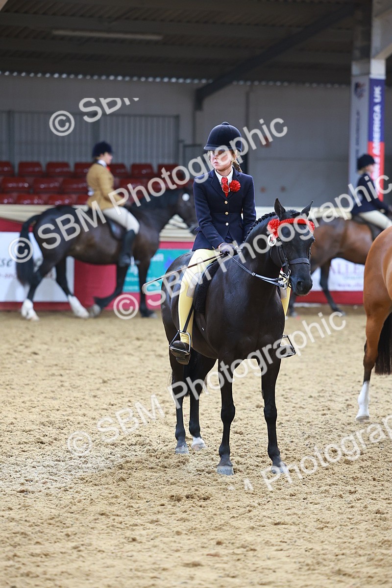 SBM_12649 - Class 103 - HOYS Veteran Qualifier - Ridden Pre Vet