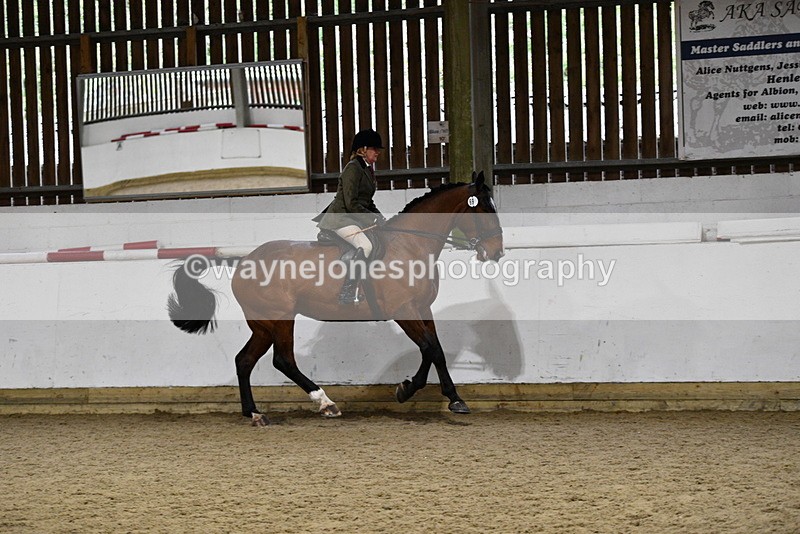 WJ5_8862 - Class 15 Ridden Show Horse