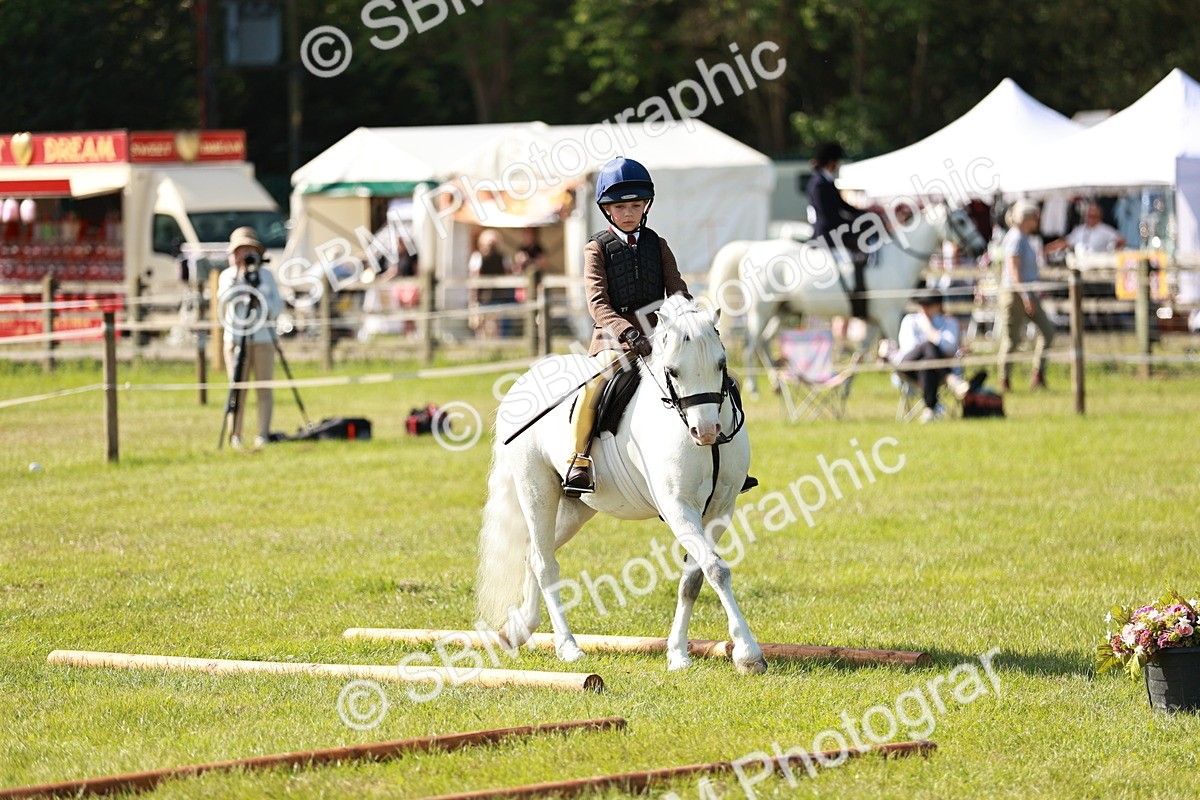 SBM_12635 - Class 106-107 - BSPS LIHS Working Sports Pony