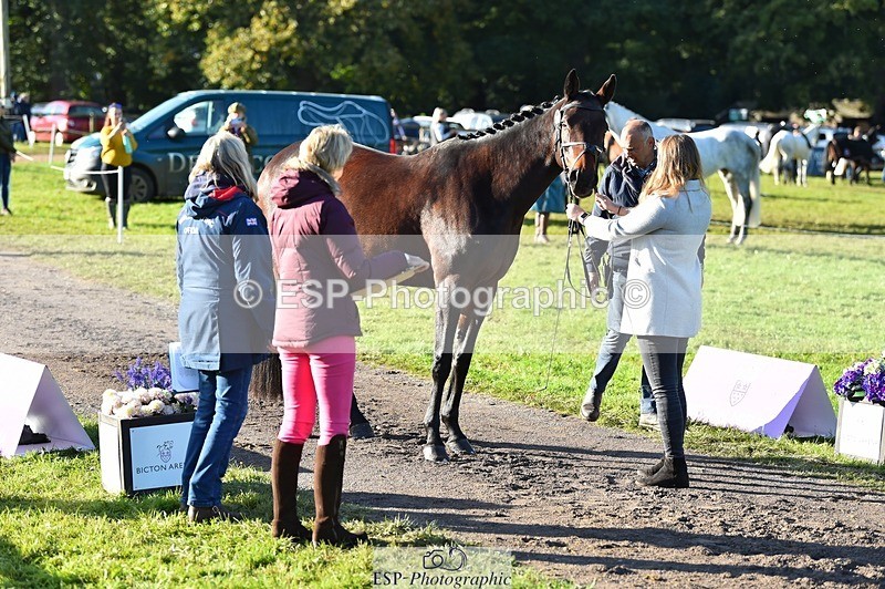 231022-101104-22289 - 503-JAGUAR.MAID-Isobel.Lole-TrotUp+SJ