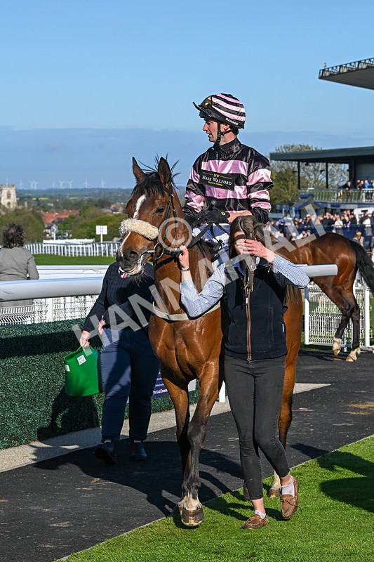 240425-Race 8-Kimeko Glory-1967 - Race 8