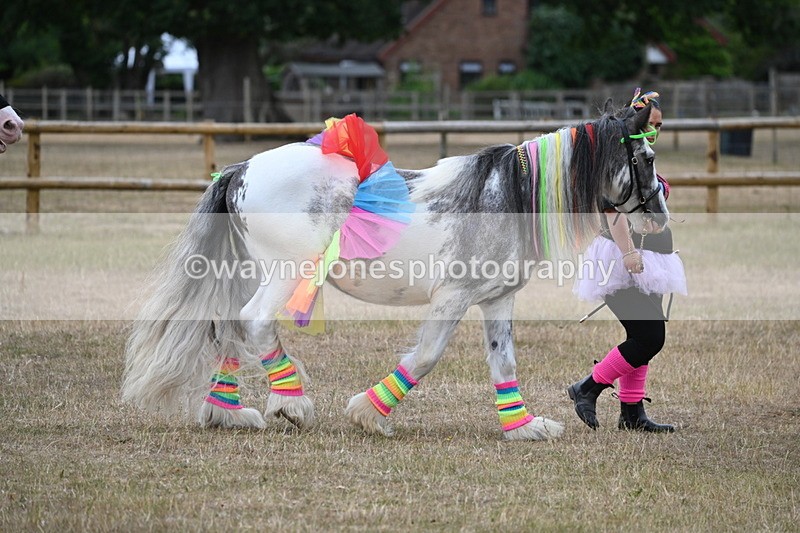 WJ6_8827 - Class 11 Fancy Dress